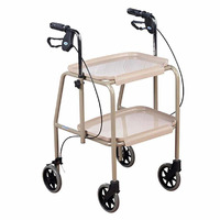 Mobile Tray Walker with Hand Brakes (125kg) 2 Colours