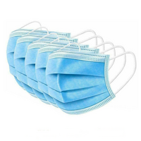 Disposable Medical Face Mask (5PK)