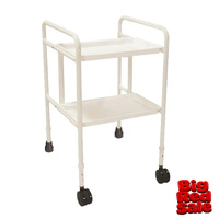 EX-DEMO: KCare Mobile Tray Walker
