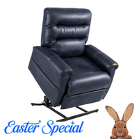 EX-HIRE - C6 Dual Motor Lift Chair