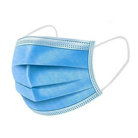 Disposable Medical Face Mask (1PK)
