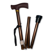 Pro+Care Folding Walking Stick  (100kg l 2 Sizes)